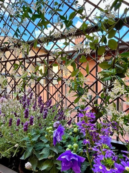 La Casa Di Nina - Appartamento 1 Валеджо-суль-Мінчо Екстер'єр фото